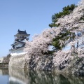 実際訪問したユーザーが直接撮影して投稿した本丸公園富山城址公園の写真