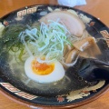 実際訪問したユーザーが直接撮影して投稿した日ノ浜町ラーメン / つけ麺麺お食事処 菜の花の写真