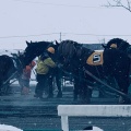 実際訪問したユーザーが直接撮影して投稿した西十三条南競馬場帯広競馬場の写真