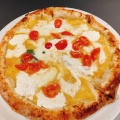 シェア(サラダ) - 実際訪問したユーザーが直接撮影して投稿した袋町パスタpizza juicyの写真のメニュー情報