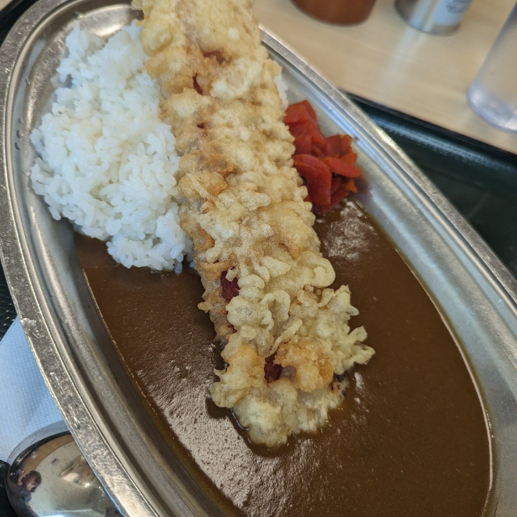 ユーザーが投稿したベーコン天 カレーの写真 - 実際訪問したユーザーが直接撮影して投稿した登戸そば名代 箱根そば 登戸店の写真