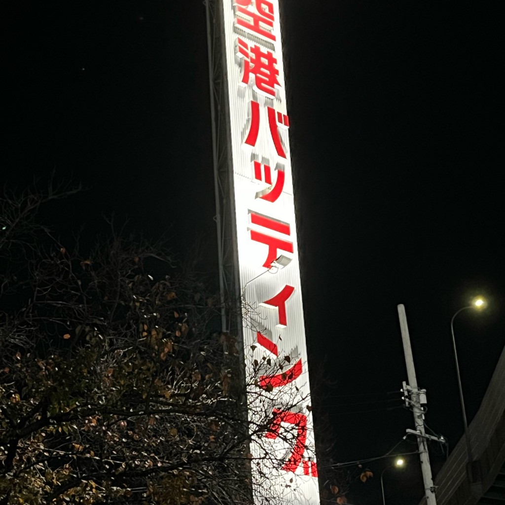 実際訪問したユーザーが直接撮影して投稿した青山スポーツ関連空港バッティングの写真