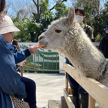 和歌山城公園動物園のundefinedに実際訪問訪問したユーザーunknownさんが新しく投稿した新着口コミの写真