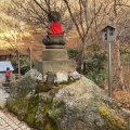 実際訪問したユーザーが直接撮影して投稿した神社草津穴守稲荷神社の写真