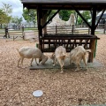 実際訪問したユーザーが直接撮影して投稿した市田町水族館 / アクアリウム豊川市赤塚山公園 ぎょぎょランドの写真