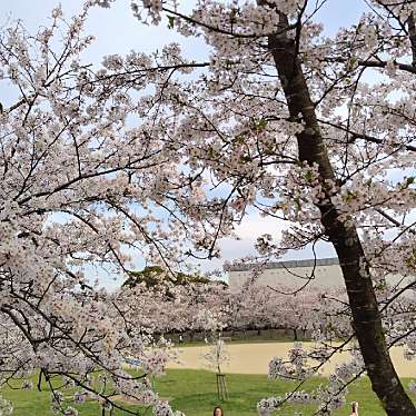 石ヶ谷公園のundefinedに実際訪問訪問したユーザーunknownさんが新しく投稿した新着口コミの写真