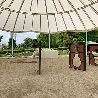 実際訪問したユーザーが直接撮影して投稿した田村町桜ケ丘公園大安場公園の写真