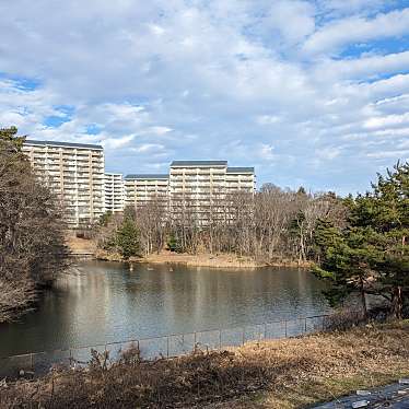 実際訪問したユーザーが直接撮影して投稿した桂公園桂島緑地の写真