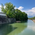 実際訪問したユーザーが直接撮影して投稿した駿府城公園歴史 / 遺跡駿府城二ノ丸 巽櫓の写真