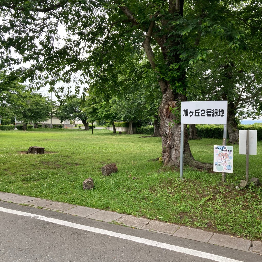 実際訪問したユーザーが直接撮影して投稿した旭ケ丘公園旭ケ丘2号緑地の写真