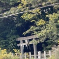 実際訪問したユーザーが直接撮影して投稿した谷津神社丹生神社の写真