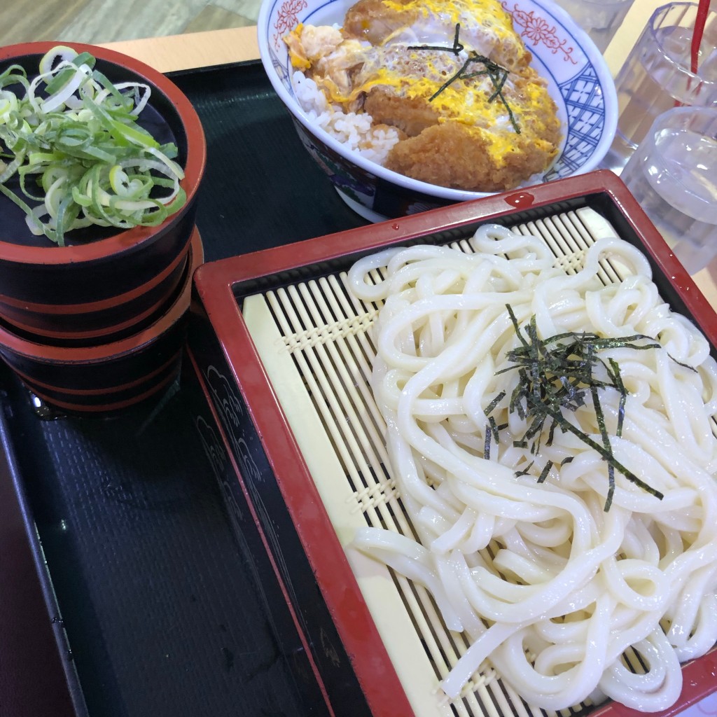 ユーザーが投稿したカツ丼とうどんの写真 - 実際訪問したユーザーが直接撮影して投稿した有楽町うどんほなみ イオン半田店の写真