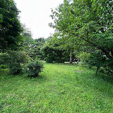 実際訪問したユーザーが直接撮影して投稿した桜丘公園桜丘すみれば自然庭園の写真