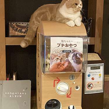 猫カフェ MOCHA 名古屋栄店のundefinedに実際訪問訪問したユーザーunknownさんが新しく投稿した新着口コミの写真