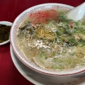 辛子高菜ラーメン - 実際訪問したユーザーが直接撮影して投稿した荒江ラーメン / つけ麺長浜御殿 荒江店の写真のメニュー情報