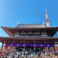 実際訪問したユーザーが直接撮影して投稿した芝公園寺大本山 増上寺の写真