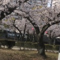 実際訪問したユーザーが直接撮影して投稿した武庫元町公園西武庫公園の写真