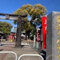 実際訪問したユーザーが直接撮影して投稿した白山神社龍造寺八幡宮の写真