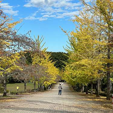 実際訪問したユーザーが直接撮影して投稿した長留公園秩父ミューズパークの写真