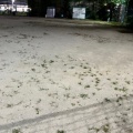 実際訪問したユーザーが直接撮影して投稿した日高町公園日高公園の写真