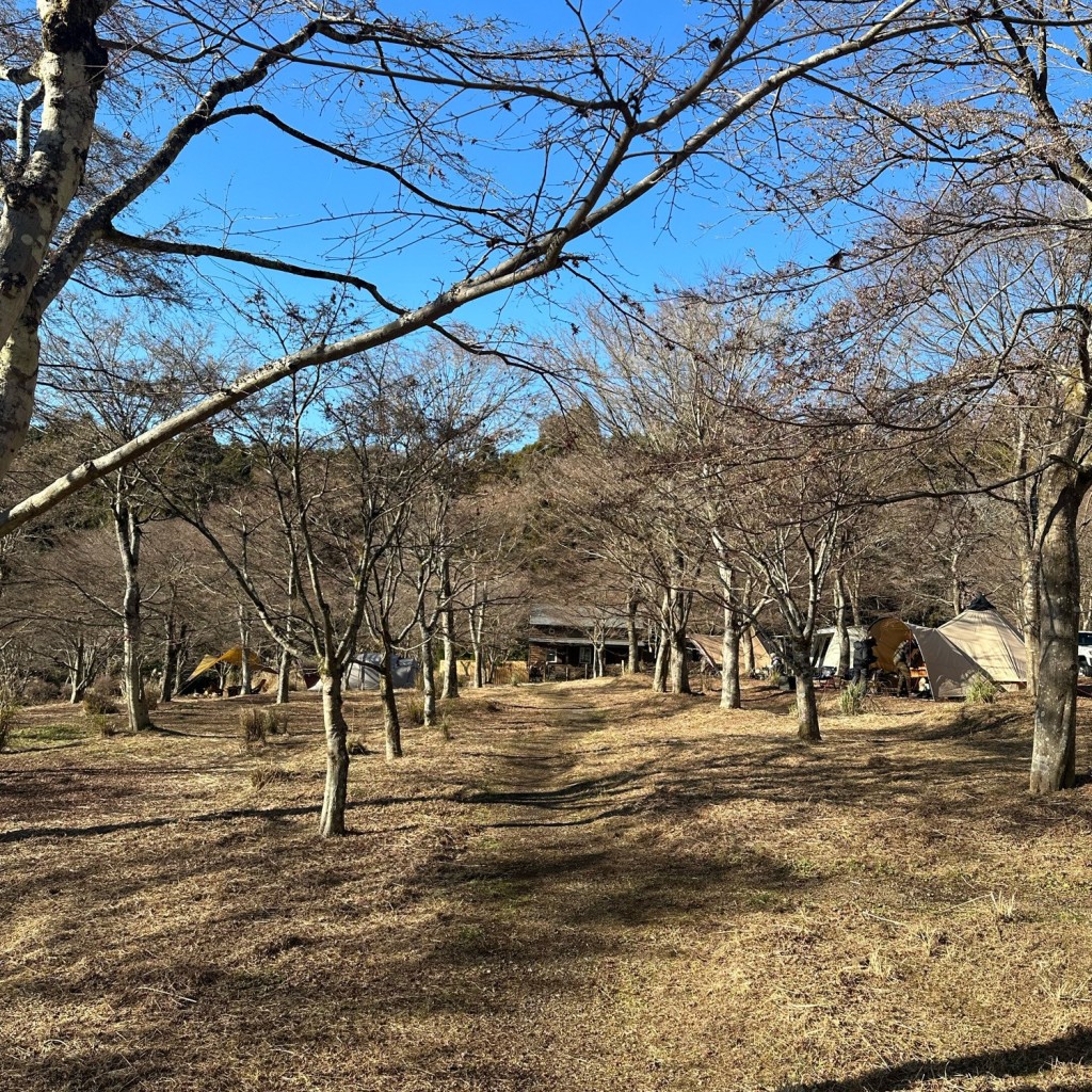 実際訪問したユーザーが直接撮影して投稿した山宮キャンプ場 / バンガロー・コテージANOTHAPLACEの写真