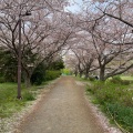 実際訪問したユーザーが直接撮影して投稿した実籾公園実籾本郷公園の写真