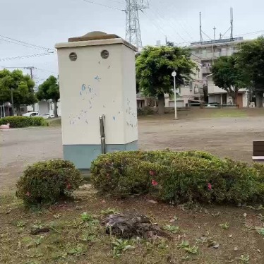 実際訪問したユーザーが直接撮影して投稿した幕張本郷公園浄土公園の写真