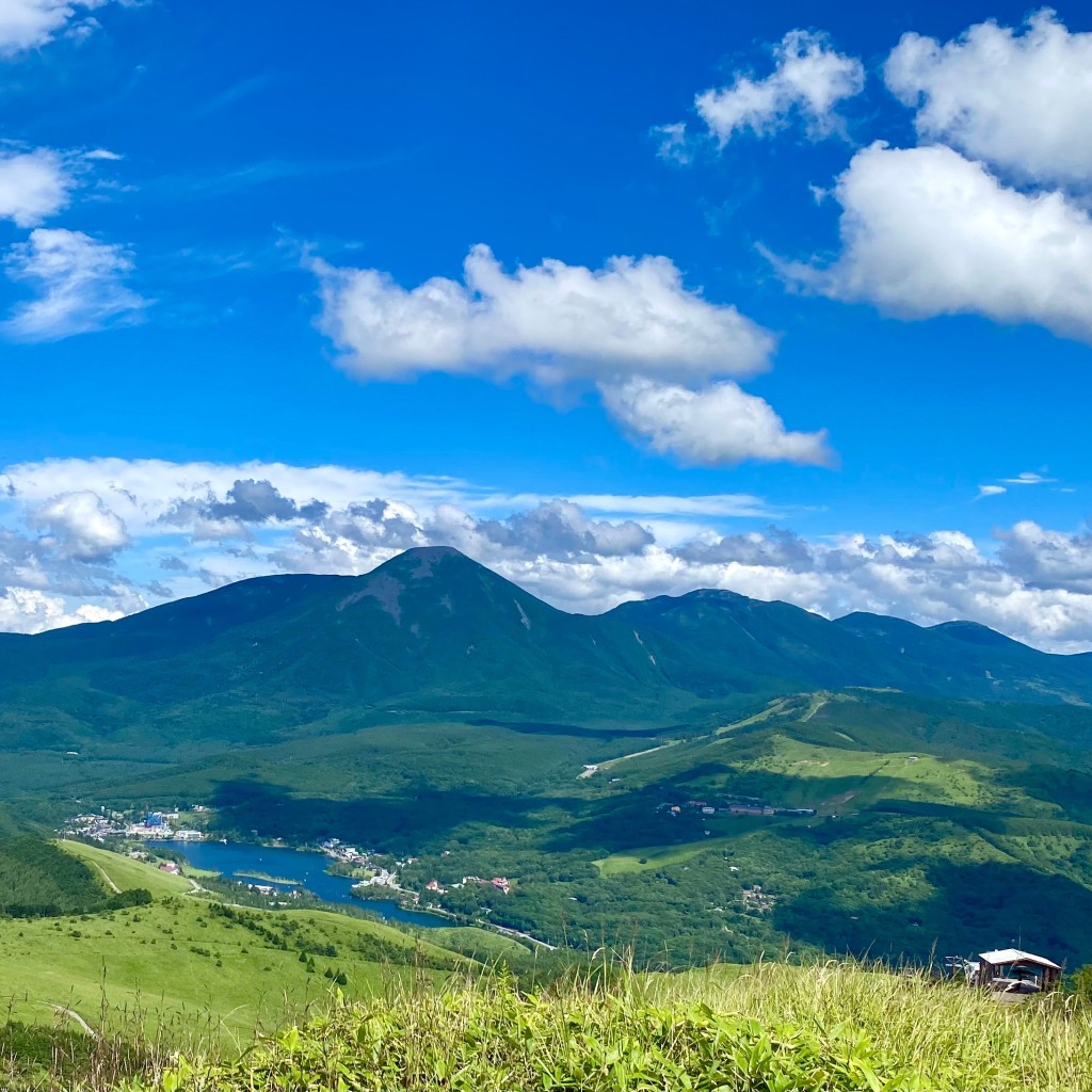 実際訪問したユーザーが直接撮影して投稿した北山高原車山高原の写真