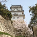 実際訪問したユーザーが直接撮影して投稿した明石公園城 / 城跡明石城の写真