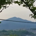 実際訪問したユーザーが直接撮影して投稿した万田公園高麗山公園の写真