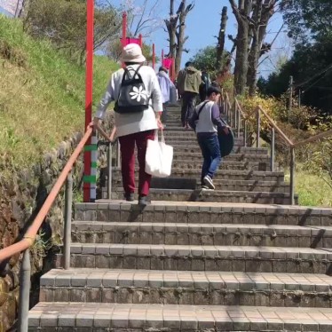 実際訪問したユーザーが直接撮影して投稿した塚脇公園摂津峡公園の写真