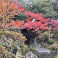 実際訪問したユーザーが直接撮影して投稿した一番丁公園和歌山城公園の写真