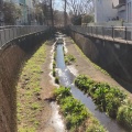 実際訪問したユーザーが直接撮影して投稿した善福寺河川善福寺川の写真