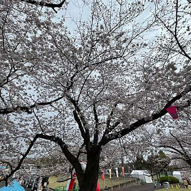 実際訪問したユーザーが直接撮影して投稿した千里万博公園イベントスペースお祭り広場の写真