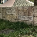 実際訪問したユーザーが直接撮影して投稿した大須公園裏門前公園の写真