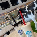 実際訪問したユーザーが直接撮影して投稿した美崎町アイスクリーム石垣島の牛乳屋さんのお店 ゲンキみるくの写真