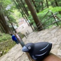実際訪問したユーザーが直接撮影して投稿した那智山世界遺産那智御瀧(那智の滝)の写真