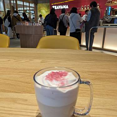 スターバックス Tea & Cafe アミュプラザ長崎 本館1階店のundefinedに実際訪問訪問したユーザーunknownさんが新しく投稿した新着口コミの写真