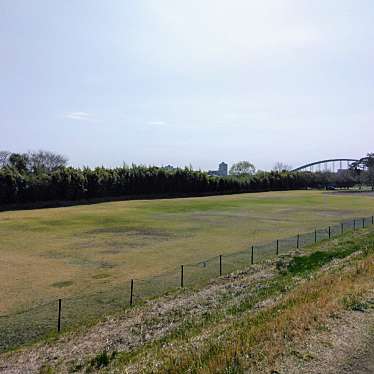 実際訪問したユーザーが直接撮影して投稿した河川多摩川の写真