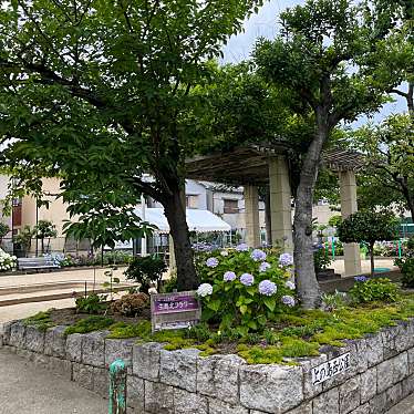 実際訪問したユーザーが直接撮影して投稿した上ノ島町公園上ノ島西公園の写真