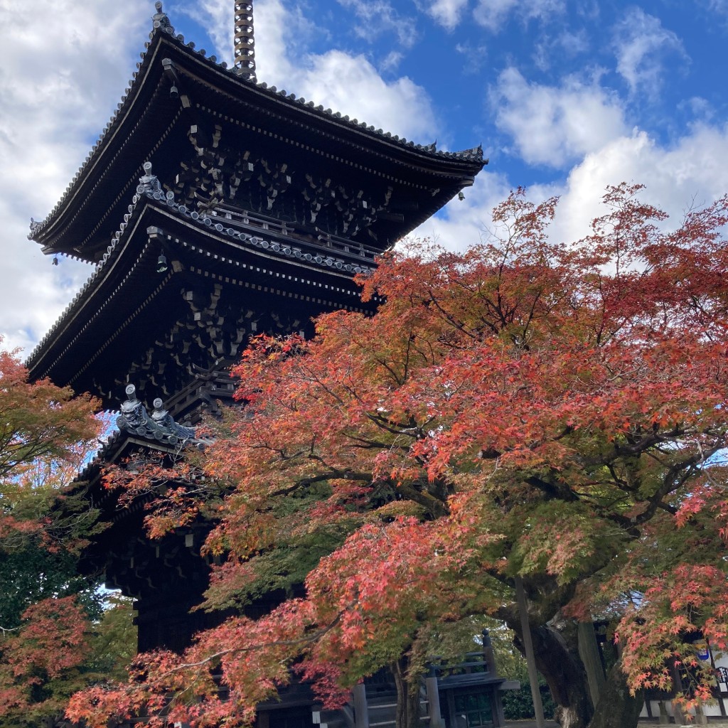 マグノリアうさぎさんが投稿した浄土寺真如町寺のお店真正極楽寺三重塔/シンセイゴクラクテラサンジュウノトウの写真