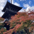 実際訪問したユーザーが直接撮影して投稿した浄土寺真如町寺真正極楽寺三重塔の写真