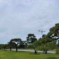 実際訪問したユーザーが直接撮影して投稿した皇居外苑公園皇居前広場の写真