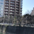 実際訪問したユーザーが直接撮影して投稿した大崎公園大崎光の滝公園の写真