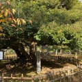 実際訪問したユーザーが直接撮影して投稿した丸の内公園町公園芦城公園の写真