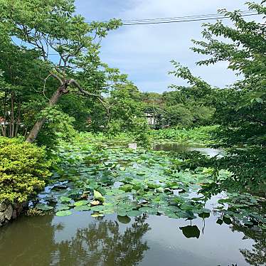 実際訪問したユーザーが直接撮影して投稿した雪ノ下湖沼 / 池平家池の写真