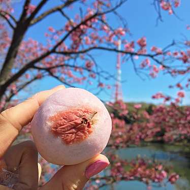 実際訪問したユーザーが直接撮影して投稿した上末吉和菓子梅月菓子舗の写真
