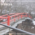 実際訪問したユーザーが直接撮影して投稿した伊香保町伊香保橋河鹿橋の写真