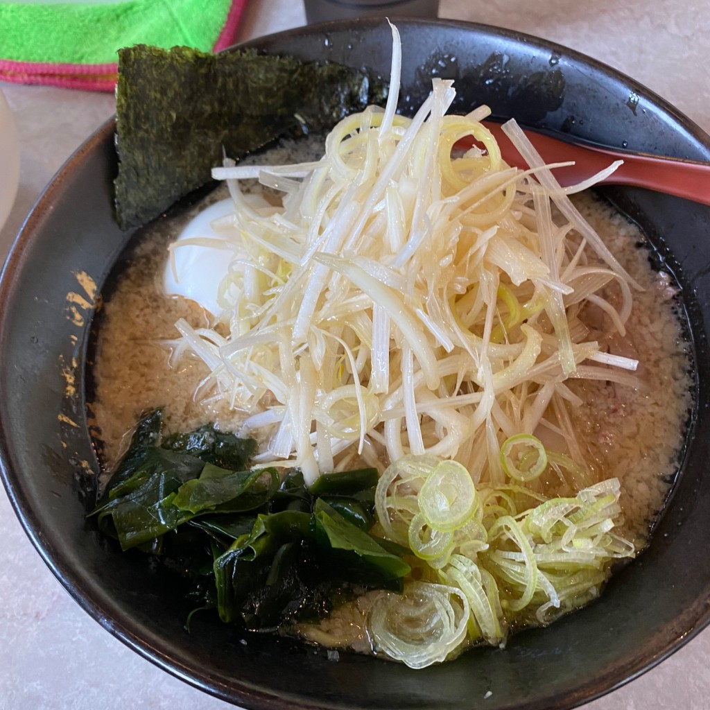 ユーザーが投稿したネギラーメンしょうゆの写真 - 実際訪問したユーザーが直接撮影して投稿した南初富ラーメン / つけ麺とんちゃん 鎌ヶ谷店の写真