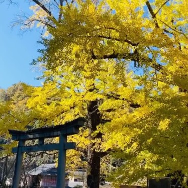 実際訪問したユーザーが直接撮影して投稿した塩江町安原上神社岩部八幡神社の写真